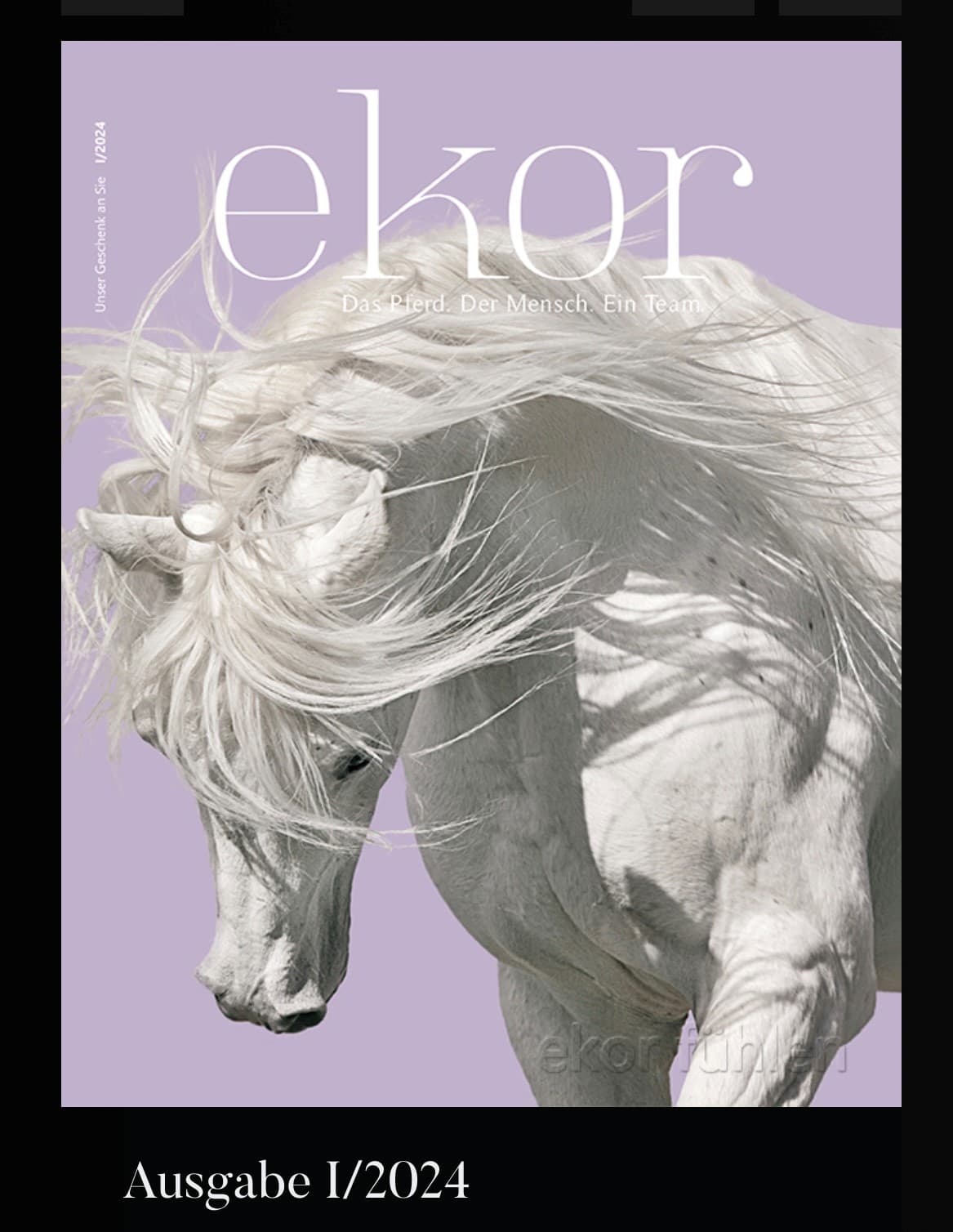 Retter auf vier Hufen - Artikel im EKOR MAGAZIN