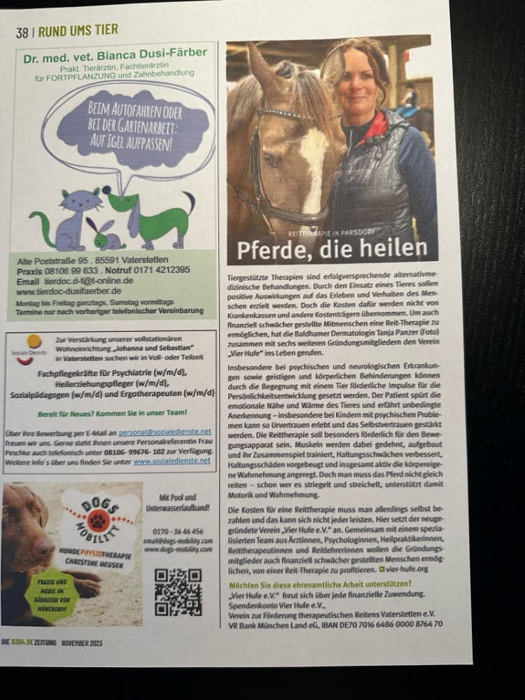 Pferde, die heilen - B308 Magazin