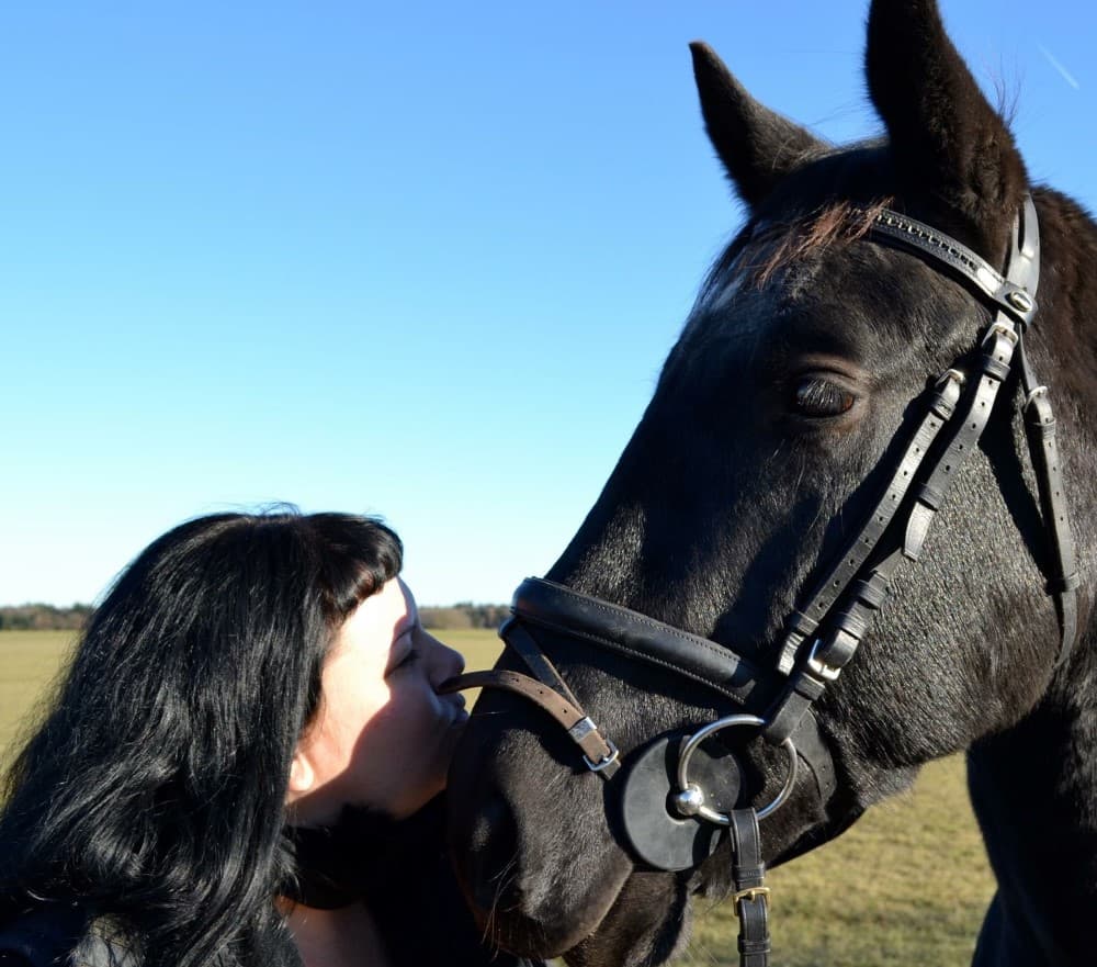 Therapiepferd Egor P. von Excellent wird geküsst.