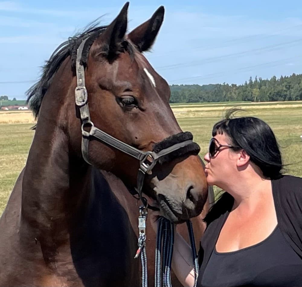 Therapiepferd Oililys Fairytale