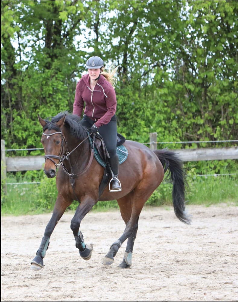 Therapiepferd Bella Lotta