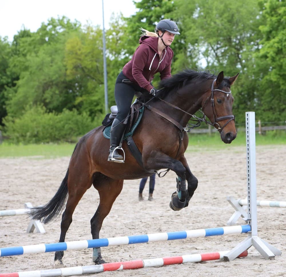 Therapiepferd Bella Lotta beim Sprung