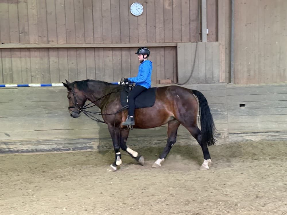 therapeutisches-reiten-01